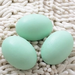 Yeşil Yumurta Kullanımı ve Faydaları Nelerdir?